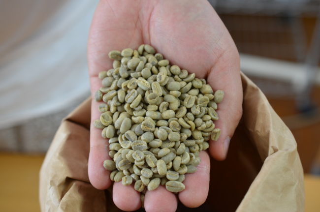 コーヒー生豆